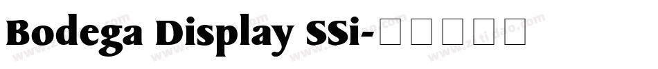 Bodega Display SSi字体转换